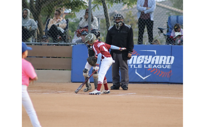 2025 Spring Season has begun